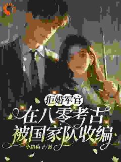 拒婚军官：在八零考古被国家队收编by小路梅子(冯宜顾长峥)未删节免费阅读