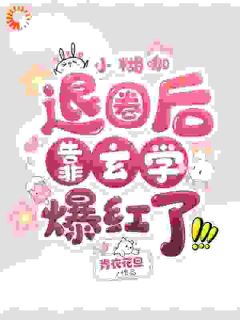 老书虫力荐小糊咖退圈后靠玄学爆红了免费无弹窗阅读