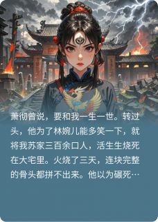 [抖音]小说萧彻林婉儿烬上重华-暗夜阅读网