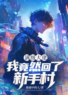 满级大佬：我竟然回了新手村小说_满级大佬：我竟然回了新手村小说结局阅读