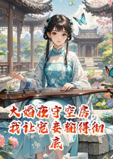 大婚夜守空房，我让宠妾输得彻底章节目录小说-沈墨苏芷免费阅读全文