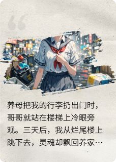 年年念昭昭抖音全本小说裴砚沈淮抖音免费章节阅读