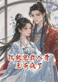 政敌宠我入骨时，王爷疯了小说(完整版)-陆韶纪晏清章节阅读