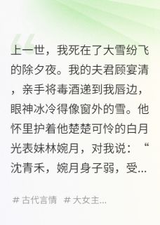 夫君，你的心上人是男人(全章节)-顾宴清林婉月在线阅读