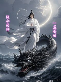 小说致命的钟主角为苏晚林深免费阅读-暗夜阅读网