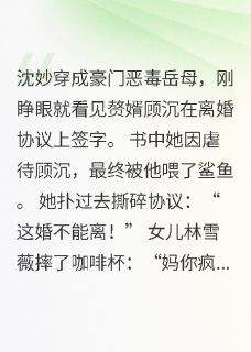 爆款小说穿书后，我追着黑化赘婿求复婚-主角沈妙顾沉林雪薇在线阅读-暗夜阅读网