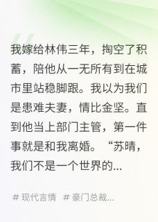 林伟苏晴苏振宏小说离婚当天，前妻身价千亿完整章节