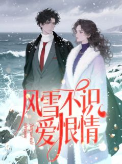风雪不识爱恨情（萧云山林婉）精彩小说目录阅读