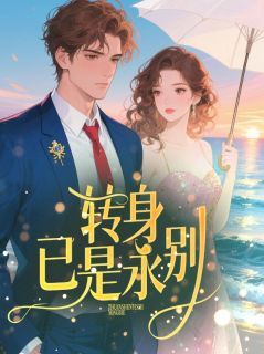 (精品)转身，已是永别小说-暗夜阅读网