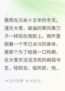 陆知言沈家军小说无广告阅读