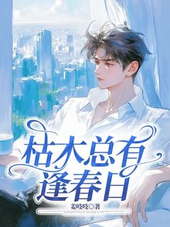 主人公桑以念贺沉野小说枯木总有逢春日在线全文阅读-暗夜阅读网