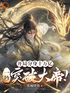 【新书】万亿分身：我在修仙界卷成天花板主角宁澜小芳全文全章节小说阅读-暗夜阅读网