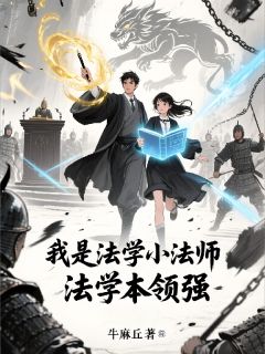 我是法学小法师，法学本领强小说主角是林砚辞苏徽全文完整版阅读