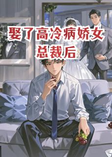 值得熬夜看完的娶了高冷病娇女总裁后小说阅读-暗夜阅读网