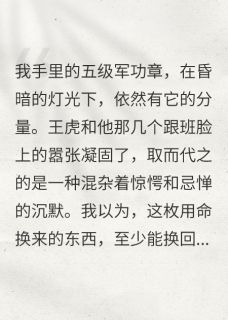 孙女被地头蛇欺负，我亮出军功章无广告阅读 王虎暖暖王长贵免费在线阅读