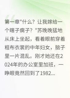 重回82年闪婚军区大佬后悔三年全文目录-苏晚晚沈景深小说无弹窗阅读