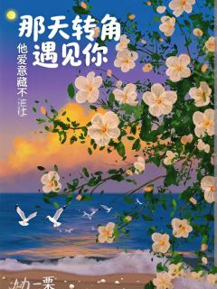 抖音小说【苏晚江熠】全集免费版在线阅读