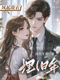 书荒必备风起故衣埋旧年全文章节阅读-暗夜阅读网