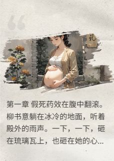 渣了病娇皇帝后跑路小说最新章节 柳书意赢夜结局是什么-暗夜阅读网