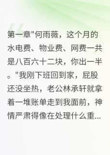 主角林承轩张春花小说，老公要求AA制，我成了免费保姆免费阅读全文-暗夜阅读网