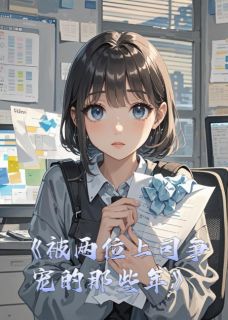 沈峥许哲林晚小说结局-暗夜阅读网