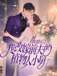 爆款小说由作者Rain所创作的离婚后，我改嫁前夫的植物人小舅在线阅读