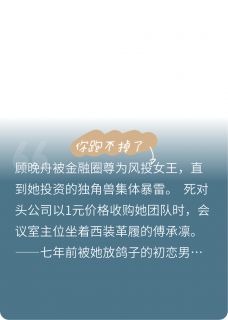 你跑不掉了小说最后结局，顾晚舟傅承凛百度贴吧小说全文免费