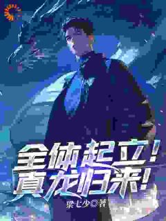 全体起立！真龙归来！在哪免费看，陆风苏念雪小说章节目录阅读