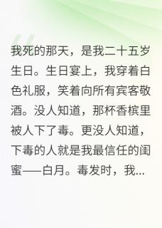 热门小说死在二十五岁生日那天完整版全文阅读