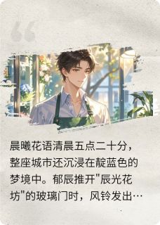 辰光永恒郁辰傅承渊小说全文章节阅读
