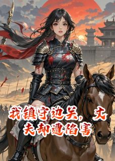 我镇守边关，丈夫却遭陷害(烟雨乌龙走糖)最佳创作小说全文在线阅读