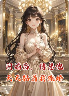 闪婚后，傅总他天天黏着我撒娇全集小说_苏软软傅沉完结版阅读-暗夜阅读网