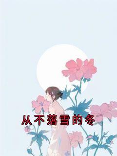 爆款小说从不落雪的冬-主角许宁婉陆晏在线阅读-暗夜阅读网