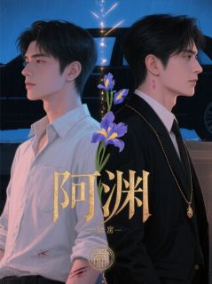 千亿婚宠：陆少的伪装游戏小说(完结版)-陆容渊阿渊李婉华在线阅读-暗夜阅读网