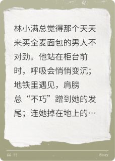 那个总蹭我衣角的男人林小满江叙-枕詞安小说