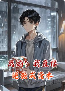 精选好书离婚？我直接逆袭成资本无删减版全文在线-暗夜阅读网