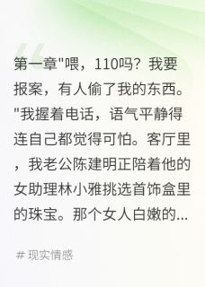 快手热推老公盗我传家宝给小三我报案了小说主角陈建明林小雅在线阅读