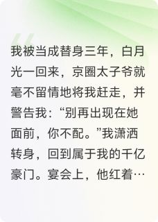 知乎小说不玩了，请叫我小婶婶主角是顾尘野顾景庭苏晚全文阅读