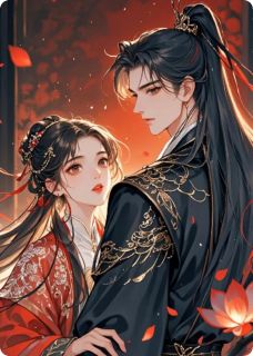 完整版将心婉宁婉萧景煜小说免费在线阅读-暗夜阅读网