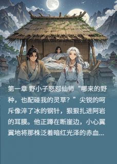 快手阿岩林清寒主角的小说全本章节大结局-暗夜阅读网