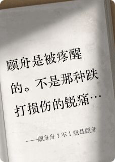 顾舟舟陆枕月顾舟舟？不！我是顾舟全章节免费阅读