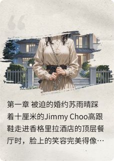 小说嫁错豪门主角为苏雨晴林墨寒陈远免费阅读