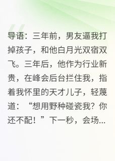 独家带崽归来我成了前任高攀不起的神全本大结局小说阅读