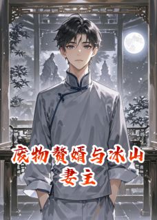 (抖音小说)纪寒烟叶宁小说全文阅读免费-暗夜阅读网