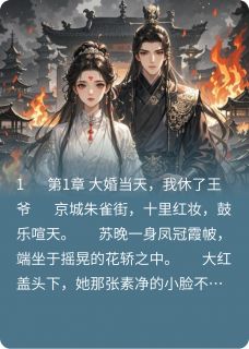当街休夫后，冥王扛着聘礼堵门抖音全本小说苏晚夜昭冥抖音免费章节阅读-暗夜阅读网
