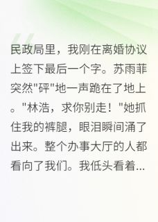 我要离婚，前妻却跪下挽留小说免费阅读 苏雨菲林浩大结局完整版