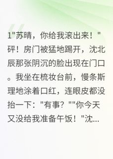 爆款热文沈北辰韩雪在线阅读-七零年代我靠裁缝月入千元全章节列表