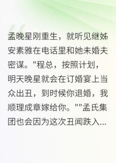 她要我家产，我送她下地狱(新书)小说_安素雅孟建华阅读