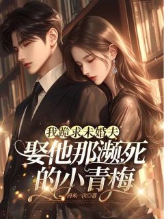 我跪求未婚夫娶他那濒死的小青梅完整版-沈枭江瑶在线全文阅读