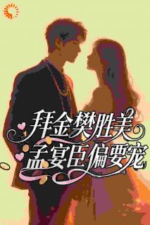 抖音热推小说拜金樊胜美，孟宴臣偏要宠全文在线阅读-暗夜阅读网